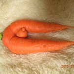 19 금 당근..직접 <b>재배</b>한 당근인데 넘 야해요..^^