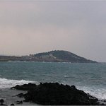 <b>새알</b>같이 예쁜 생태계 보물창고, 제주