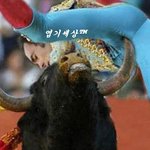 소에게 급소 <b>점령</b>
