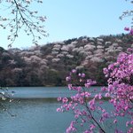 4월 그 아름다운 계절이여