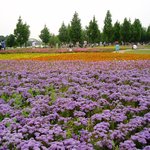 <b>일산</b>호수공원