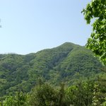 신록의 <b>청계산</b> -1 (04/4/25)