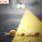 빨리 건너가자~~<b>영차</b>..<b>영차</b>