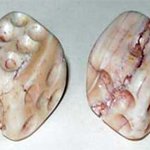 세계 最古 주사위