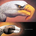 손으로 동물을 만든다 - <b>핸드</b>아트