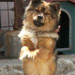 봄사진..얼짱<b>각도</b>..ㅋㅋ