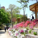 수락산 <b>산림</b>욕장 -1