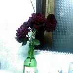 전 <b>이슬</b>만 먹고 살아요