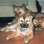 슬<b>비네</b> 가족