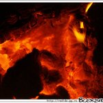 시골?? 타오르는 <b>장작</b>...