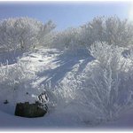 소백산<b>설경</b>