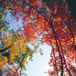 저 혼자만 <b>올리</b>내예3