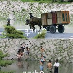 정겨운 <b>개성</b>의 봄