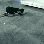 고현정 <b>kt</b> 안 cf 스틸컷