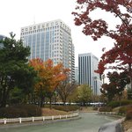 <b>도심</b>의 가을