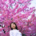 아름다운 <b>미호</b> 요시오카