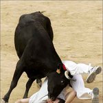 "<b>황소</b>가 사람잡네"