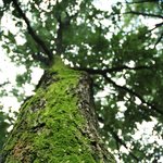 인생의<b>연륜</b>