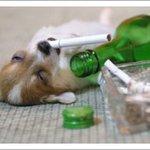 아...살고 싶지않다..<b>개</b>같은 내<b>인생</b>..