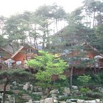 우리<b>펜션</b>의 캐빈타운<b>펜션</b>