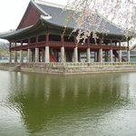 오늘은 더 안올립<b>니더</b>예