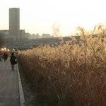 학의천 억새<b>산책</b>길