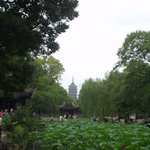 중국 <b>소주</b> 졸정원의 모습