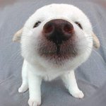 이건 <b>모야</b>?