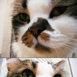 <b>얼큰이</b> 우리