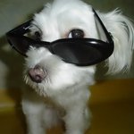 울 <b>단비</b>랍니다^^