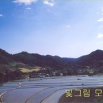 <b>전원</b>일기
