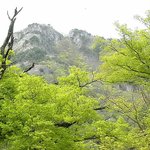 오늘은 더 안올립<b>니더</b>예2