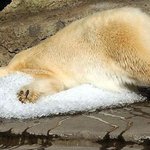 아~ <b>황홀</b>해~~~