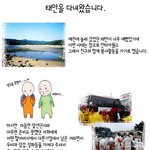 <b>태안</b> 아직 안 다녀 오신분~