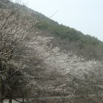 <b>순천</b> 조계산 송광사 전경 -1