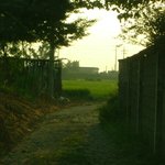 <b>충청</b>도..어느마을...