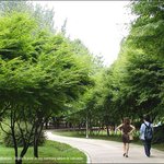 양재<b>시민</b>공원에서