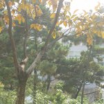 가을 <b>벤치</b>