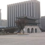 광화문과 정부청사의 <b>앙상</b>불