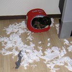 <b>말썽</b>꾸러기~