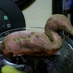 <b>오리</b> 고구마