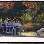 <b>청일점</b>이라 부럽다...
