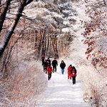 문경∼충주 잇는 옛길 <b>하늘재</b>