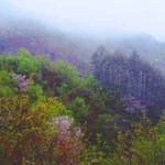 <b>안개</b>가 있는 풍경 (1)