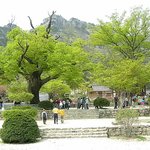 오늘은 더 안올립<b>니더</b>예3