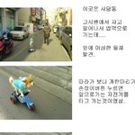 왈왈이가 운전할때 중요한건 <b>드리프트</b>-_-/