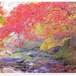 내장산의 <b>단풍</b>파티