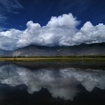 봐줄만해서 올립<b>니더</b>예3