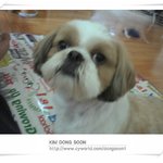 <b>완</b><b>죤</b>히~~사진빨 곰돌이