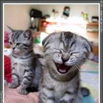 징<b>챠</b> 너 므 <b>이</b> 뿌 다..